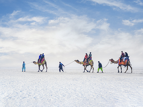 Scenic beauty of White Rann of Kutch during sunrise in winter season