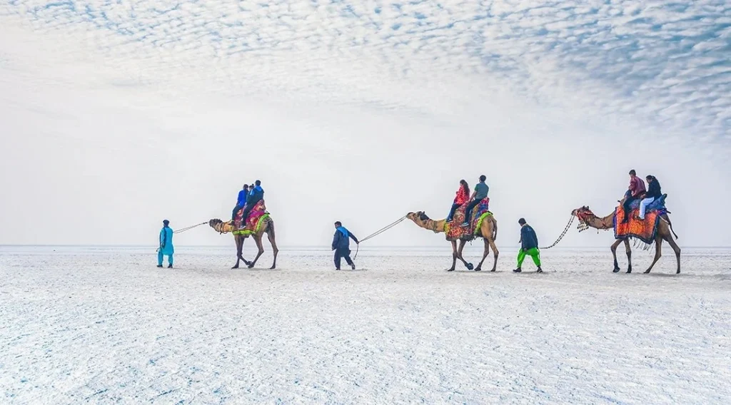 Vast white salt flats of the White Rann in Kutch shining under the sun during Rann Utsav